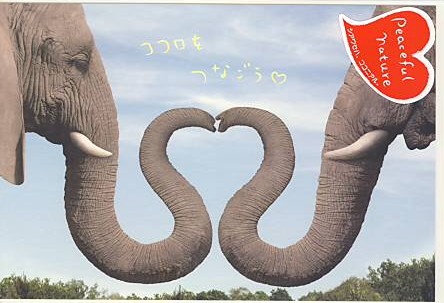 Peaceful・ポストカード「ココロをつなごう」