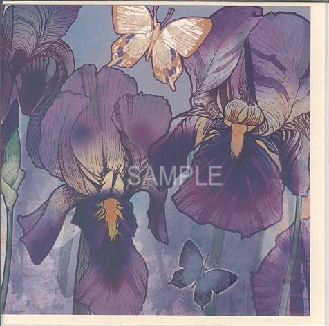 square card-菖蒲と蝶