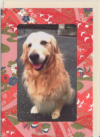 友禅和紙フォトフレームカード（赤鴨）