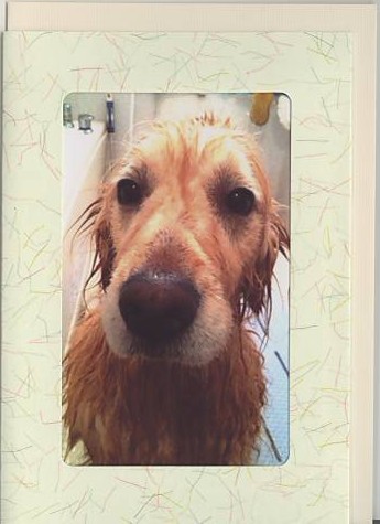 和紙フォトフレームカード（グリーン）