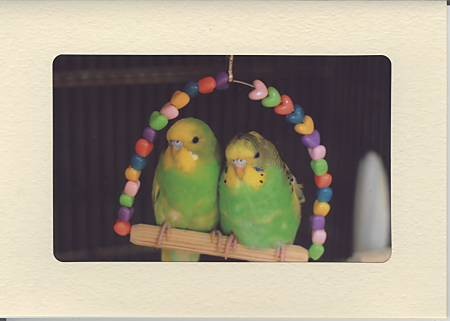 2枚収納フォトフレームカード（ナチュラル）